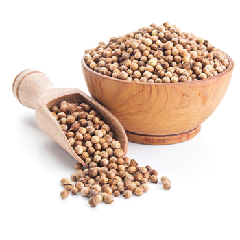 Fresh agricultural products prepared for international export with tech-enabled supply chain – Dira Solutions global trade services Coriander seeds Dhana