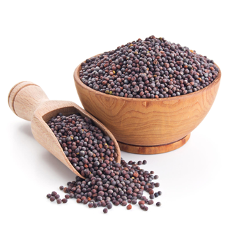Fresh agricultural products prepared for international export with tech-enabled supply chain – Dira Solutions global trade services Mustard seeds Rai